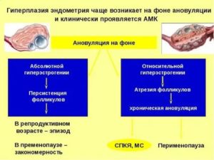 Гиперплазия эндометрия 19 мм