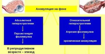 Гиперплазия эндометрия 19 мм