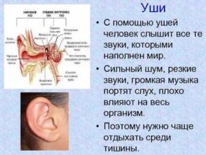 Болит и плохо слышит ухо