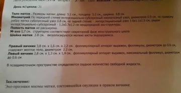Узи 20 день цикла желтое тело