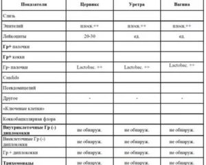 Расшифровка спермограммы - наличие грамм+ бактерий и кокков