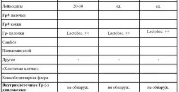 Расшифровка спермограммы - наличие грамм+ бактерий и кокков Расшифровка спермограммы - наличие грамм+ бактерий и кокков