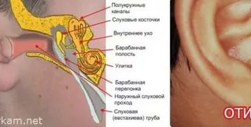 Боль в горле отдающая в ухо