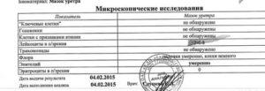 Расшифровка мазка из уретры
