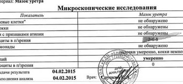 Расшифровка мазка из уретры Расшифровка мазка из уретры